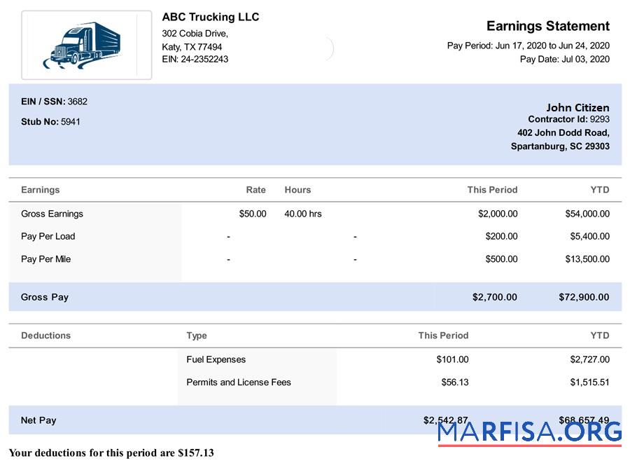 Blank USA South Carolina Trucking LLC paystub sample